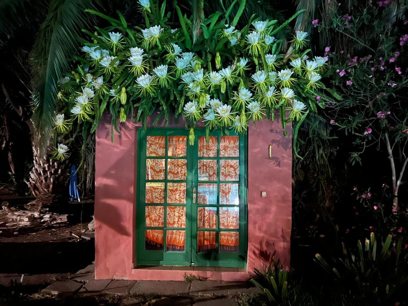 アガエテ La Casa Del Molino De Vientoヴィラ エクステリア 写真