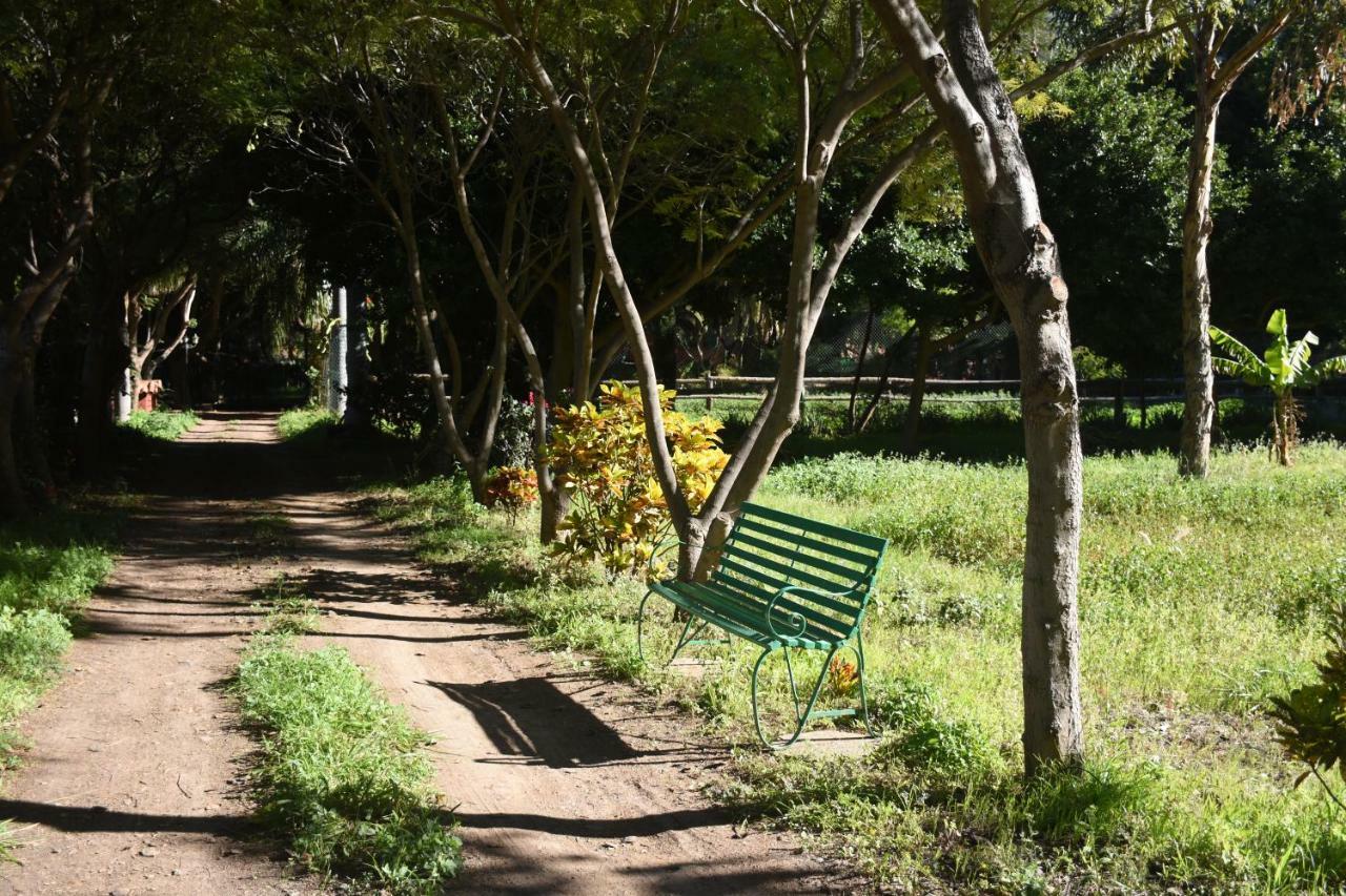 アガエテ La Casa Del Molino De Vientoヴィラ エクステリア 写真
